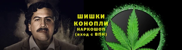 СК Верея